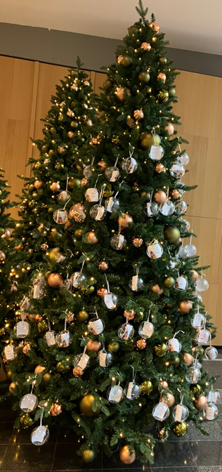 https://www.wtcschiphol.nl/wp-content/uploads/2025/11/Giving-tree2.png